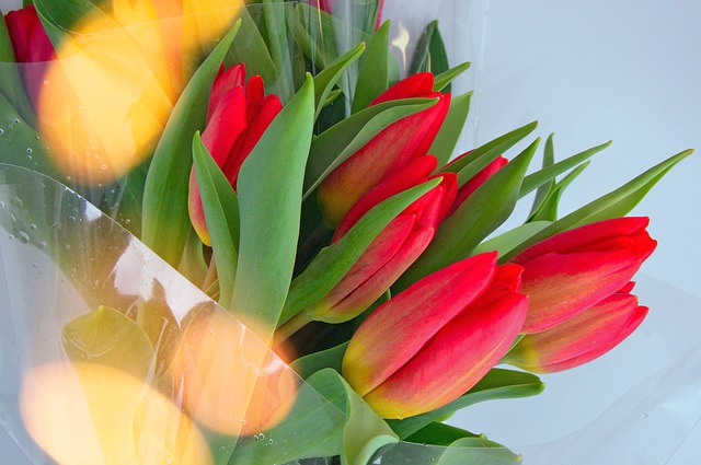 kytice z tulipánů