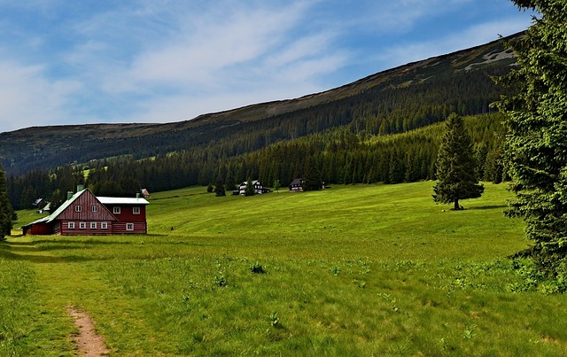 louka v Krkonoších