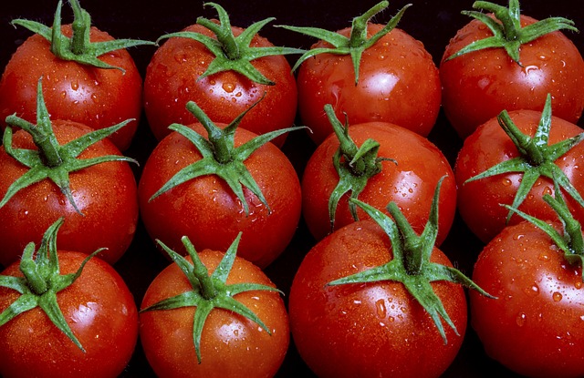 přeprava rajčat